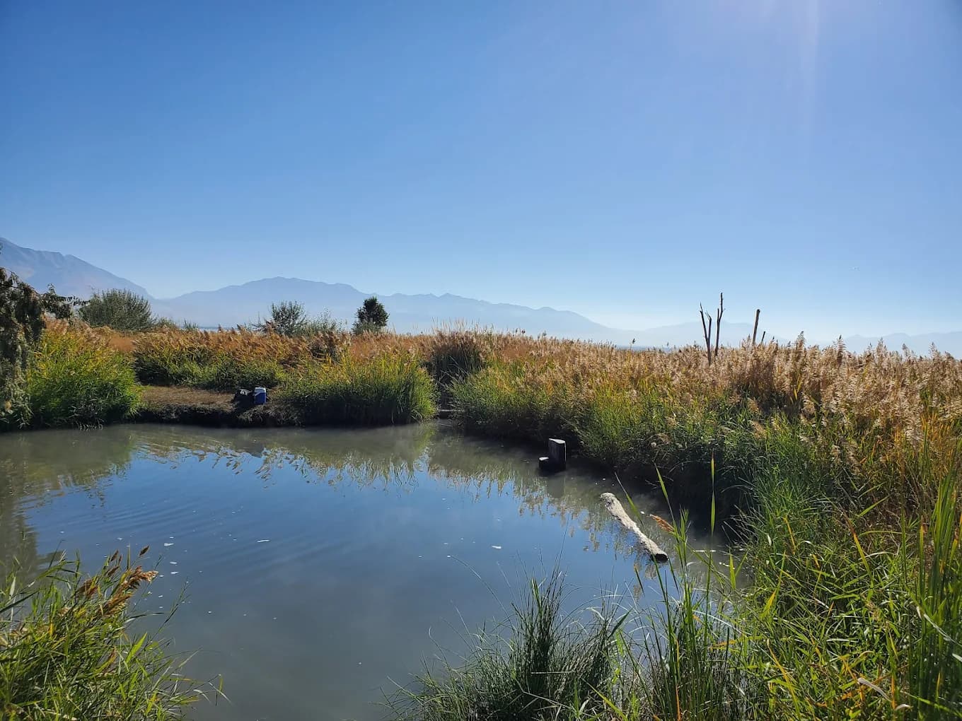 Hot Springs & Wellness